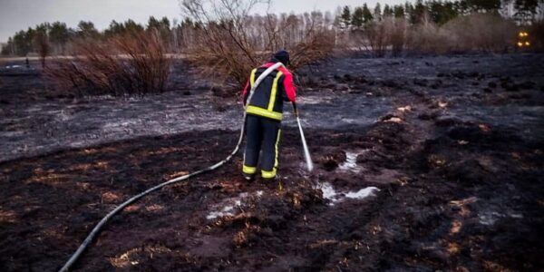 На Київщині другу добу гасять торф'яники