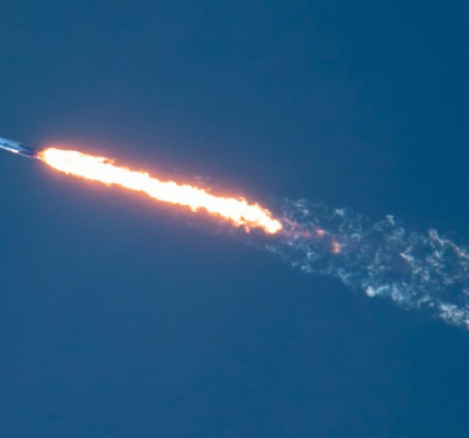 Нова ракета Falcon 9 вивела на орбіту ще 27 супутників Starlink