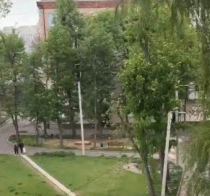 У Харкові та Сумах пішов сніг