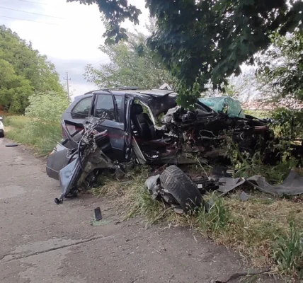 На Одещині водій на BMW влетів у дерево і вбив свого пасажира