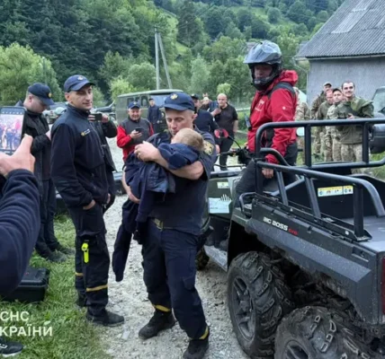 На Закарпатті знайдено зниклу дворічну дитину: як рятувальникам це вдалося