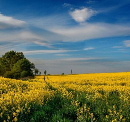 Гороскоп для всіх знаків зодіаку на 9 липня 2025 року