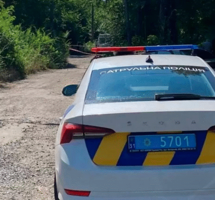 У Кривому Розі чоловік ударив викруткою поліцейського та працівника ТЦК