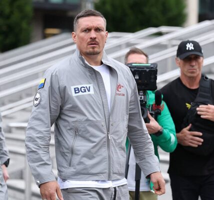 Усик пояснив своє рішення піти з боксу після двох поєдинків