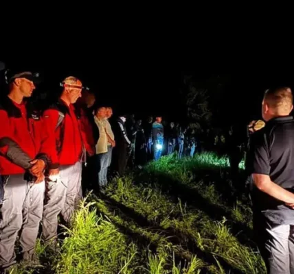 Знайдено дворічну дівчинку на Львівщині, яку шукали понад 580 людей