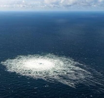 Затриманий за підрив Північних потоків українець служив в СБУ - ЗМІ