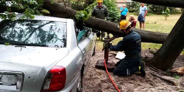 У Києві рятувальники деблокували автівки з-під повалених вітром дерев (фото)