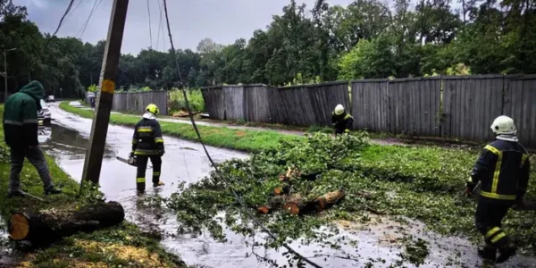 Сильні дощі та вітер наробили лиха у чотирьох областях України (фото)