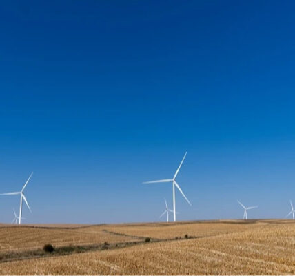 Німці хочуть побудувати біля Києва вітрову електростанцію