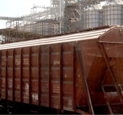 До українських морських портів пішло більше зерна