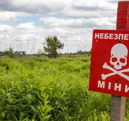 Механізм компенсації витрат за розмінування земель забюрократизований – Рахункова палата