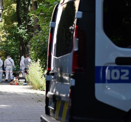 Вбивство Парубія: оприлюднено деталі розслідування
