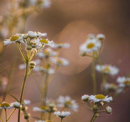 Гороскоп для всіх знаків зодіаку на вихідні 6-7 вересня 2025 року