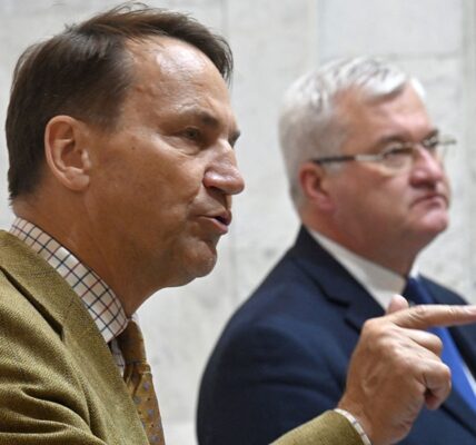 Сікорський зробив заяву щодо вступу України в ЄС