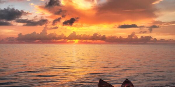 Гороскоп для всіх знаків зодіаку на 17 вересня 2025 року