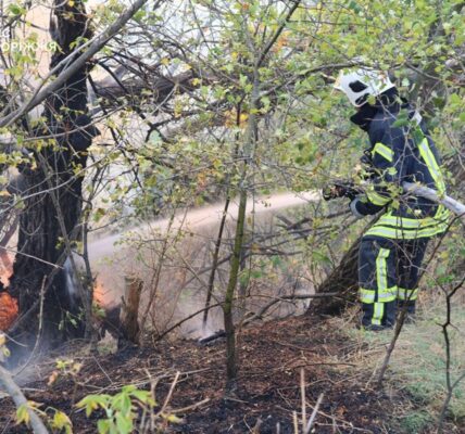 Рятувальники другу добу гасять пожежу на Хортиці