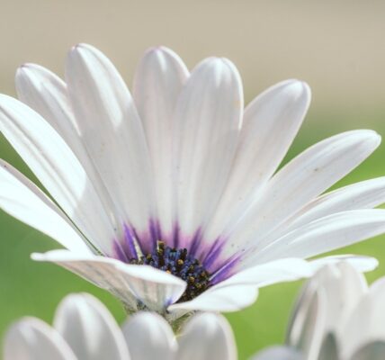 Гороскоп для всіх знаків зодіаку на 20-21 вересня 2025 року