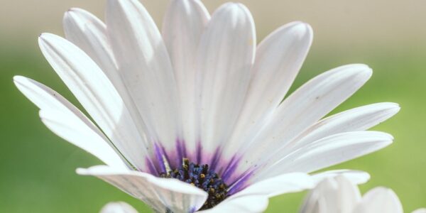 Гороскоп для всіх знаків зодіаку на 20-21 вересня 2025 року