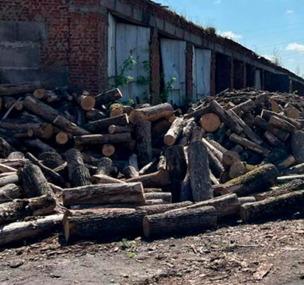 Уряд роздасть по 20 тисяч гривень за опалення будинків дровами