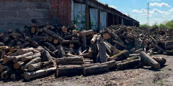 Уряд роздасть по 20 тисяч гривень за опалення будинків дровами