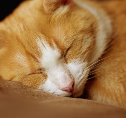 Гороскоп для всіх знаків зодіаку на 1 жовтня 2025 року