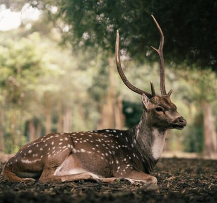 Гороскоп для всіх знаків зодіаку на 2 жовтня 2025 року
