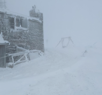 У Карпатах намело пів метра снігу й вдарив мороз
