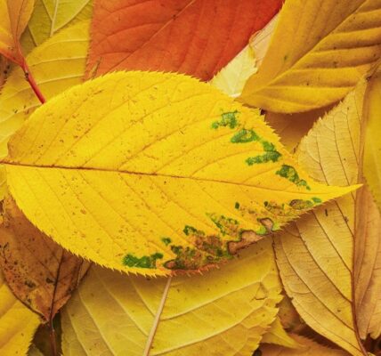 Гороскоп для всіх знаків зодіаку на 7 жовтня 2025 року