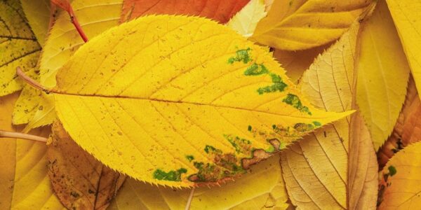 Гороскоп для всіх знаків зодіаку на 7 жовтня 2025 року