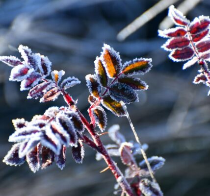 Дощі та нічні заморозки: погода на початок тижня