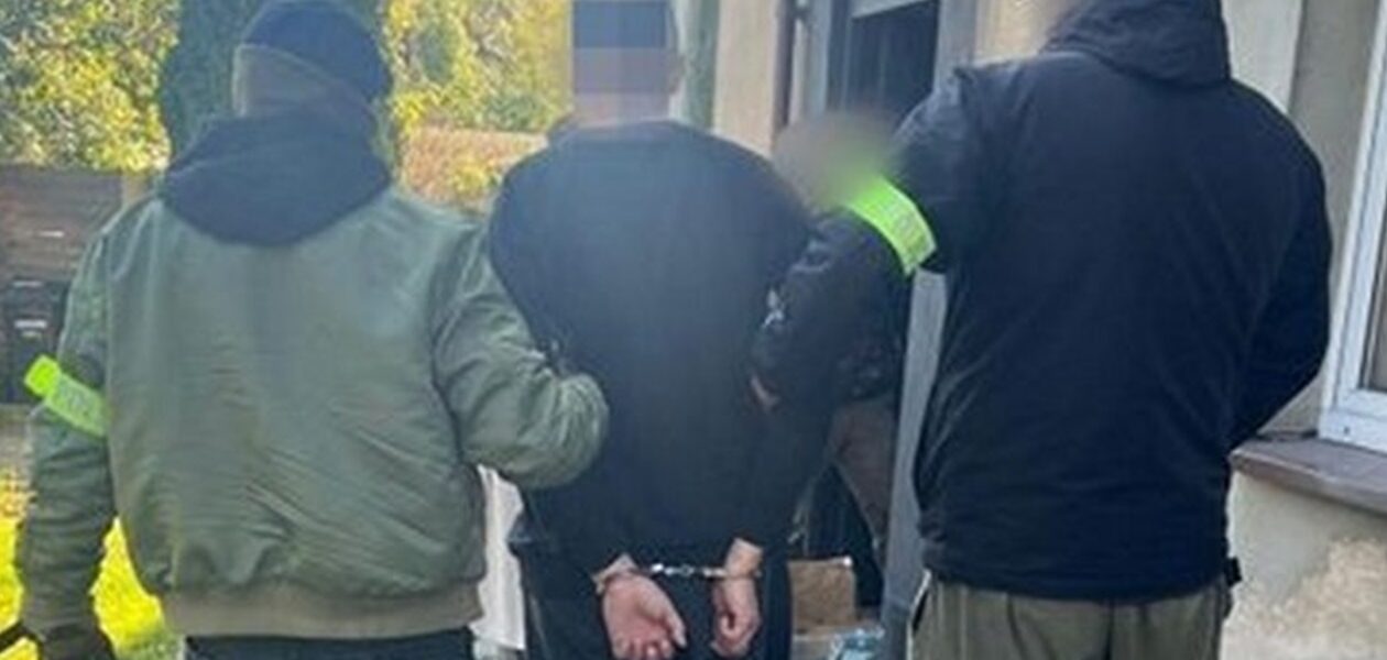 У Польщі затримали палія автівок з українськими номерами