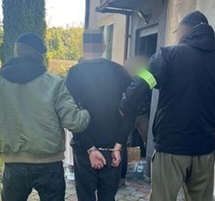 У Польщі затримали палія автівок з українськими номерами