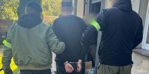 У Польщі затримали палія автівок з українськими номерами