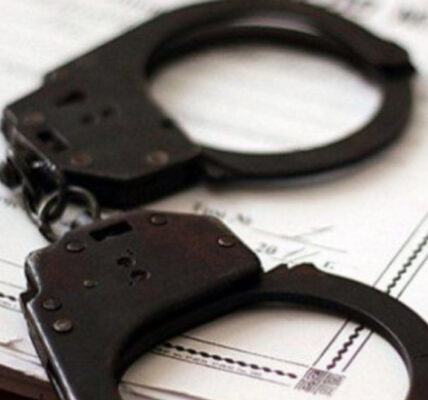 Поліцейських, які вимагали хабаря у моделі OnlyFans, звільнили