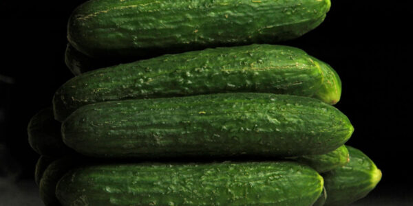 Огірки в Україні невпинно дорожчають: яка їхня вартість