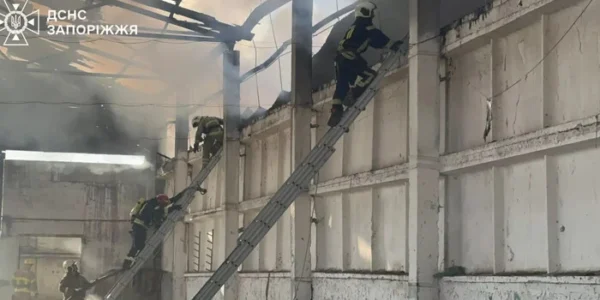 Рятувальники ліквідували масштабну пожежу на території кінного клубу