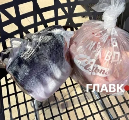 Поліетилен не зник? Як торгові заклади пакують рибу, м’ясо та овочі: огляд цін біопакетів