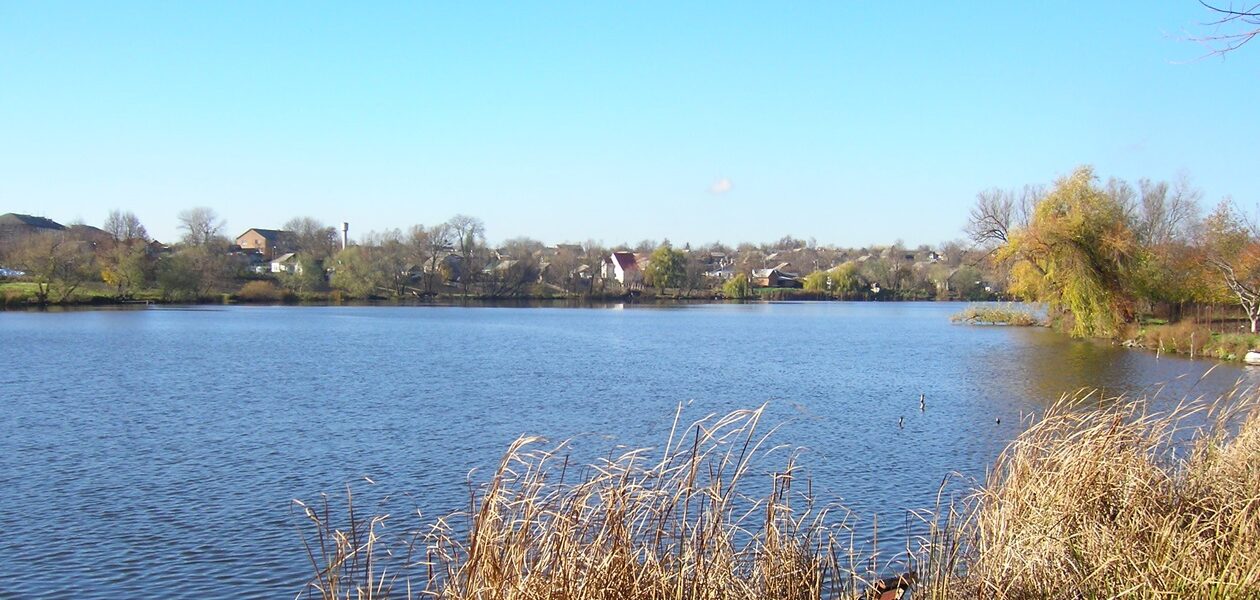 На Гайсинщині зафіксували масовий мор риби