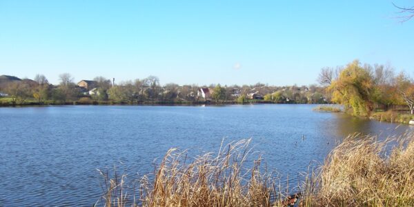 На Гайсинщині зафіксували масовий мор риби