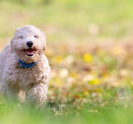 Гороскоп для всіх знаків зодіаку на 23 жовтня 2025 року