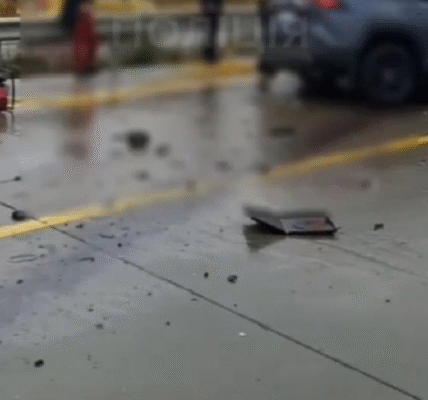 Поблизу Житомира сталася масштабна ДТП