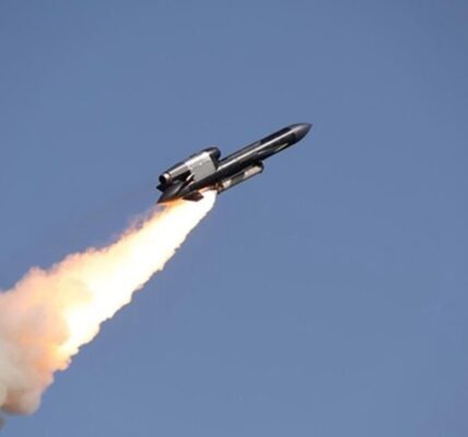 Були труднощі: Зеленський розповів про Фламінго