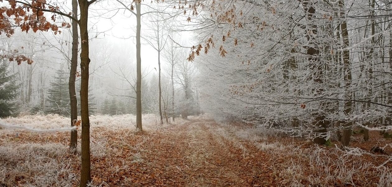 Гороскоп для всіх знаків зодіаку на 19 листопада 2025 року