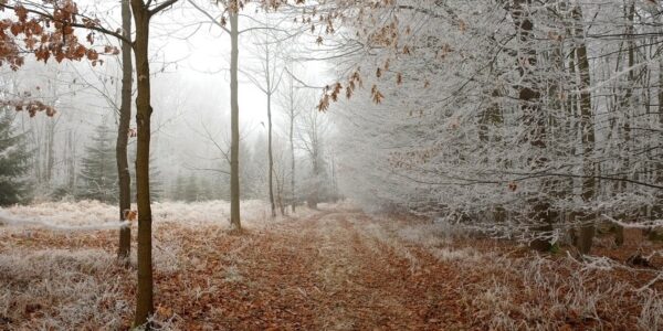 Гороскоп для всіх знаків зодіаку на 19 листопада 2025 року