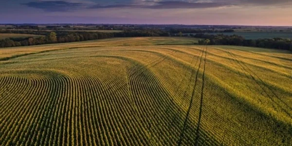 Скільки в Україні коштує гектар землі? Найдешевші та найдорожчі регіони