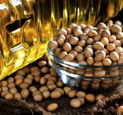 Світовий попит на соєву олію зростає: що відбувається з цінами на українському ринку