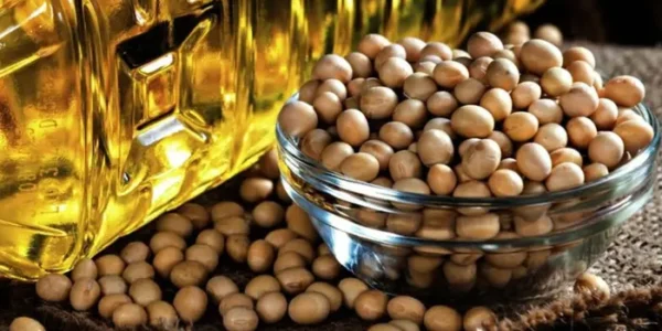 Світовий попит на соєву олію зростає: що відбувається з цінами на українському ринку