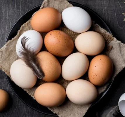 Україна завалила своїми яйцями три країни