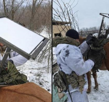 Російські військові причепили Starlink до коня