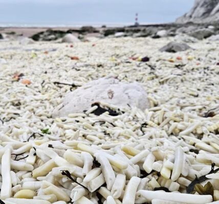 В Англії на узбережжя викинуло тонни картоплі фрі та цибулі